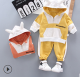 Cotton sweater children's suit