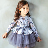 Digital Print mesh princess dress