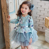 Digital Print mesh princess dress
