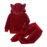 Velvet hooded Tracksuit