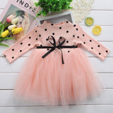 Princess Long sleeve Baby Girl Dress