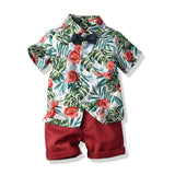 Boys Shorts and Shirt Set